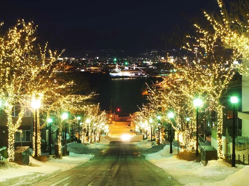 Condominium Panoramique Motomachi Hakodate
